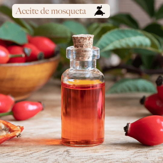 Los 10 Beneficios del Aceite de Rosa Mosqueta