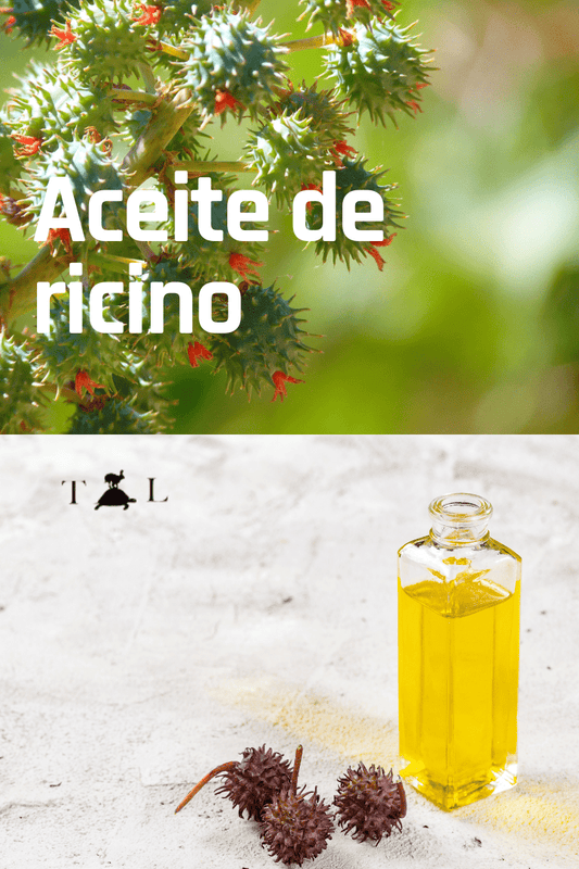 ¿Para qué sirve el aceite de ricino? Beneficios y usos.