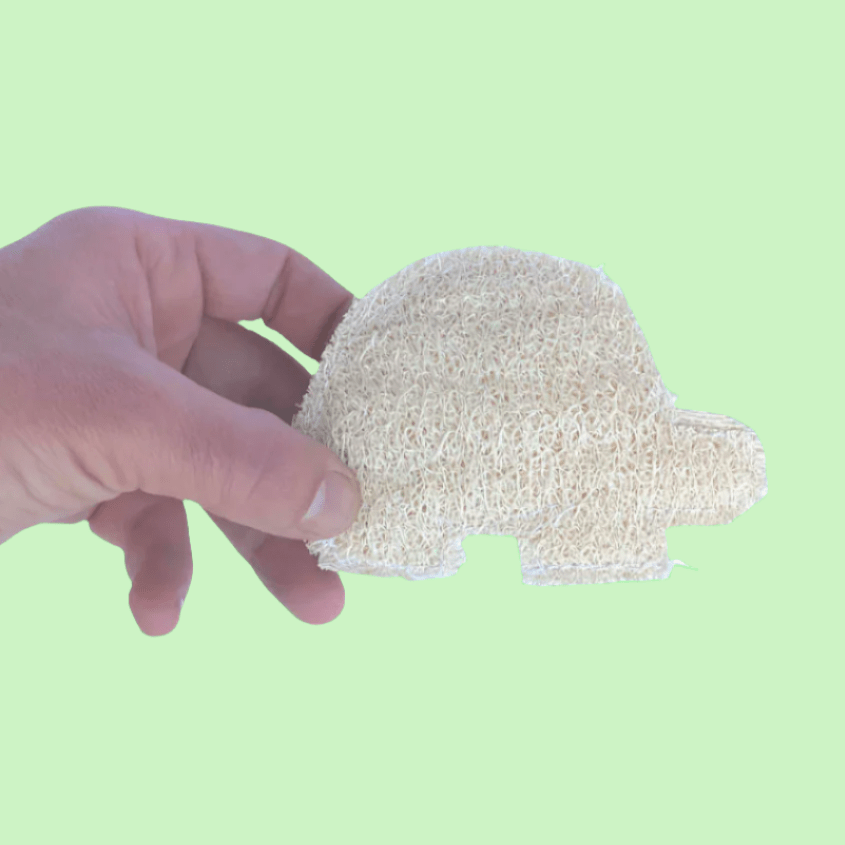 Esponjilla de luffa en forma de una tortuga en un mano