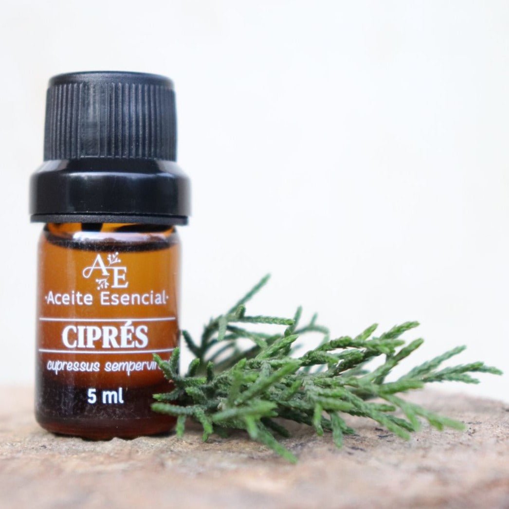 Aceite esencial ciprés de Ananda con un hoja de cipres