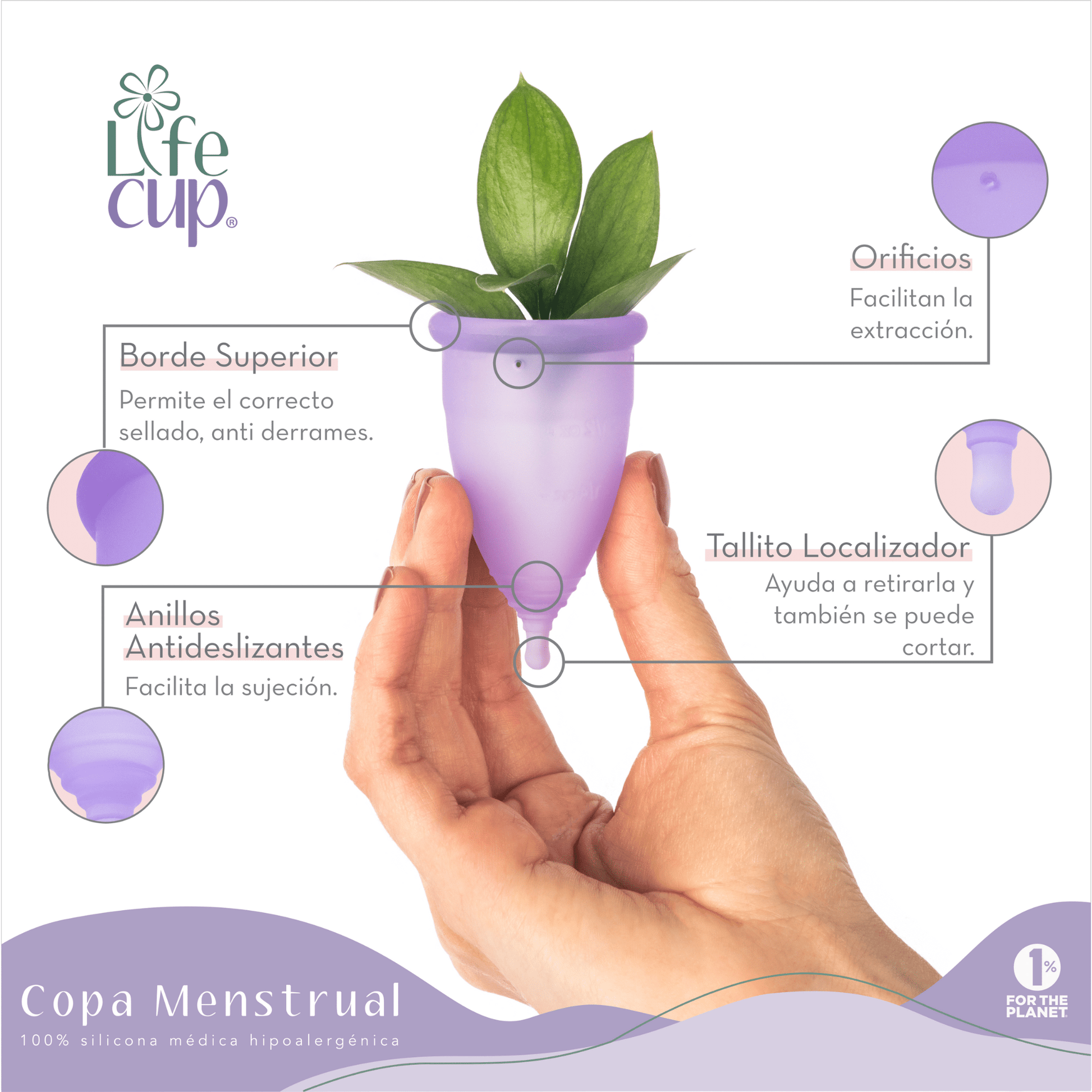 Copa menstrual LifeCup faqs