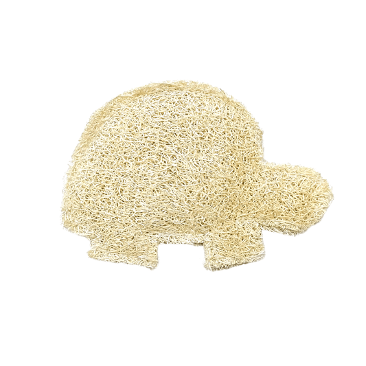 Esponjilla de luffa en forma de una tortuga con fondo blanco